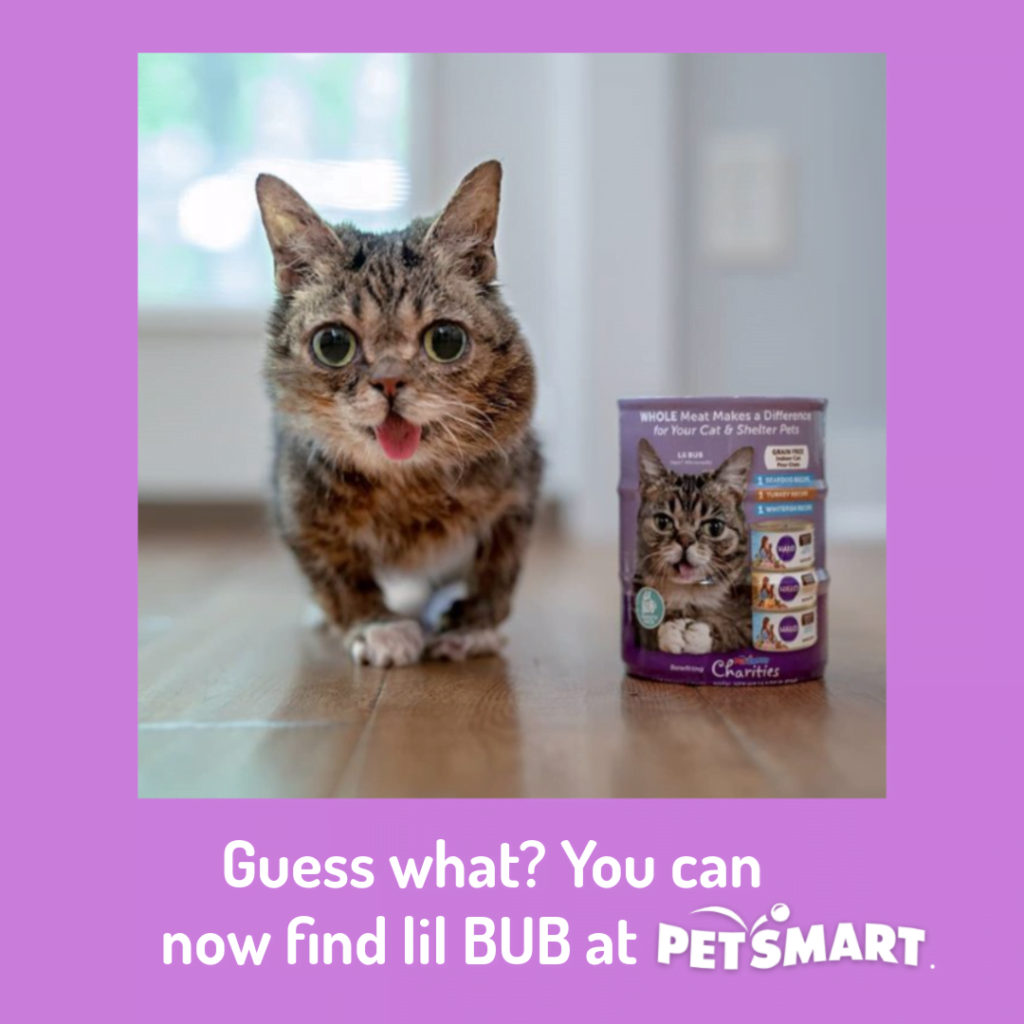 Guess what? You can now find lil Bub at Petsmart