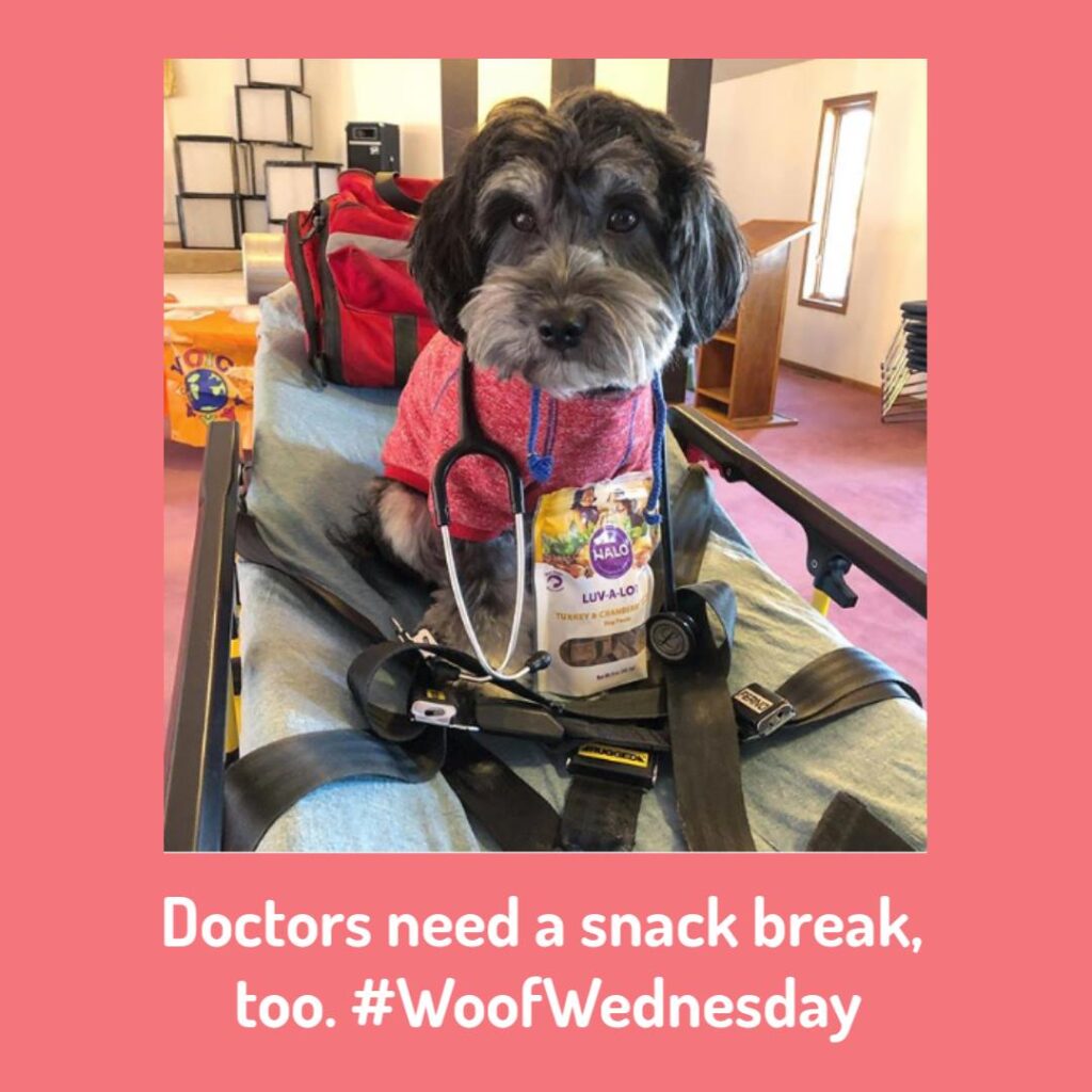 Doctors need a snak break, too. Woof Wednesday.
