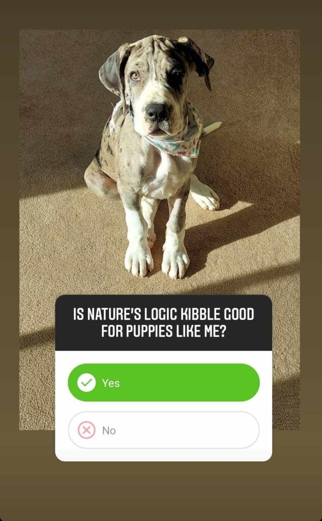 example of instagram story using question feature