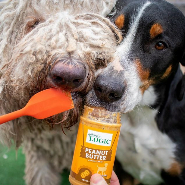 Dogs licking Nature's Logic peanut butter from jar and spatula