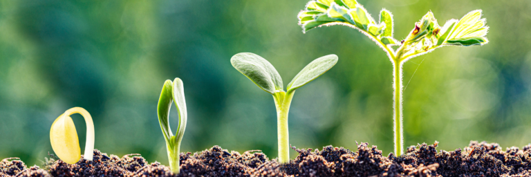 From Digital Marketer to Growth Marketer